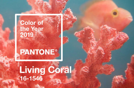 The 2019 Color of the Year ~ Living Coral!
